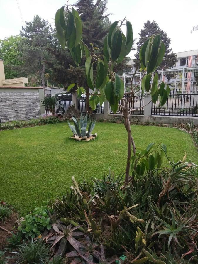 Guest House Alkor 오브조르 외부 사진